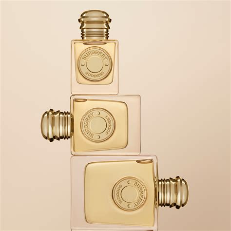 burberry godess notes|burberry goddess travel size.